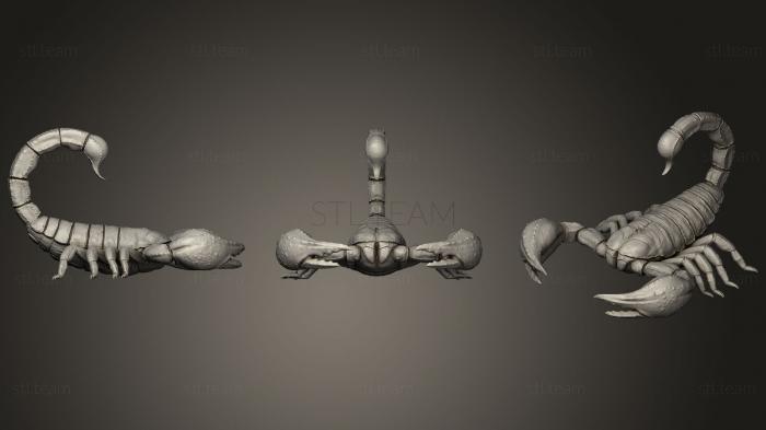 3D model Scorpion (STL)